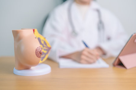Doctor with Breast Anatomy model. Breast Augmentation Surgery, October Breast Cancer Awareness month, implant, Diagnosis, Beauty woman enlargement and medical education conceptの写真素材