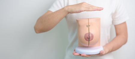 woman hand cover Breast Anatomy model. Breast Augmentation Surgery, October Breast Cancer Awareness month, implant, Diagnosis, Beauty woman enlargement and medical education conceptの写真素材