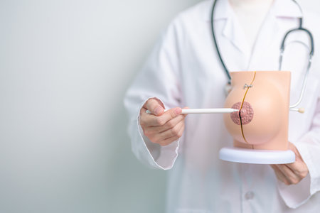 Doctor holding Breast Anatomy model. Breast Augmentation Surgery, October Breast Cancer Awareness month, implant, Diagnosis, Beauty woman enlargement and medical education conceptの写真素材