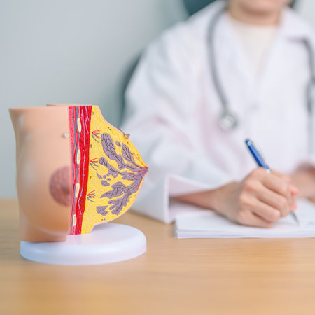 Doctor with Breast Anatomy model. Breast Augmentation Surgery, October Breast Cancer Awareness month, implant, Diagnosis, Beauty woman enlargement and medical education conceptの写真素材