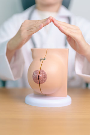 Doctor hand cover Breast Anatomy model. Breast Augmentation Surgery, October Breast Cancer Awareness month, implant, Diagnosis, Beauty woman enlargement and medical education conceptの写真素材