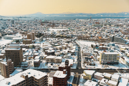 Beautiful landscape and cityscape from Goryokaku Tower with Snow in winter season. landmark and popular for attractions in Hokkaido, Japan.Travel and Vacation conceptの写真素材