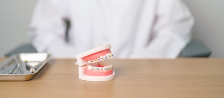 Dentist with Orthodontic tooth model and bracket or brace. Clean and Scrape off tartar. May...