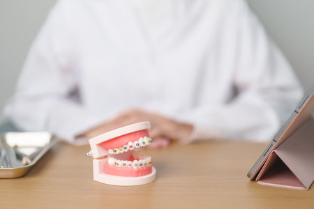 Dentist with Orthodontic tooth model and bracket or brace. Clean and Scrape off tartar. May...