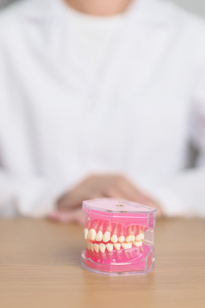 Dentist with tooth Anatomy model. Oral Teeth and disease, Scrape off tartar. March Oral health,...