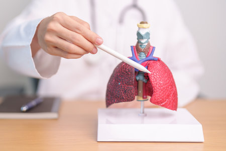 Doctor with Smoker and normal Lung anatomy for Disease. Lung Cancer, Asthma, Chronic Obstructive Pulmonary or COPD, Bronchitis, Emphysema, Cystic Fibrosis, Bronchiectasis, Pneumonia and world Lung dayの写真素材