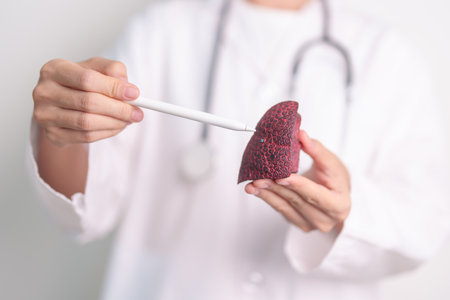 Doctor with Smoker and normal Lung anatomy for Disease. Lung Cancer, Asthma, Chronic Obstructive Pulmonary or COPD, Bronchitis, Emphysema, Cystic Fibrosis, Bronchiectasis, Pneumonia and world Lung dayの写真素材