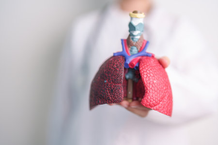 Doctor with Smoker and normal Lung anatomy for Disease. Lung Cancer, Asthma, Chronic Obstructive Pulmonary or COPD, Bronchitis, Emphysema, Cystic Fibrosis, Bronchiectasis, Pneumonia and world Lung dayの写真素材