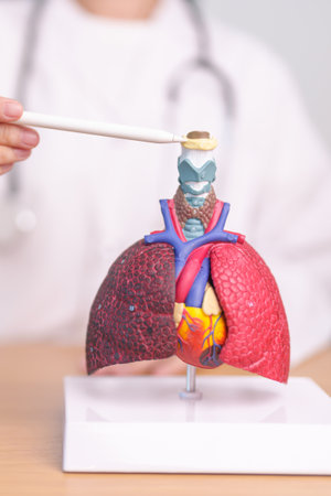 Doctor pointing Hyoid Bond of Respiratory system anatomy for Diseases. Lung Cancer, Asthma, Chronic Obstructive Pulmonary or COPD, Bronchitis, Emphysema, Cystic Fibrosis, Bronchiectasis and Pneumoniaの写真素材