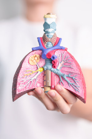 woman hold Smoker anatomy for Disease. Lung Cancer, Asthma, Chronic Obstructive Pulmonary or COPD, Bronchitis, Emphysema, Cystic Fibrosis, Bronchiectasis, Pneumonia and world Lung day conceptの写真素材