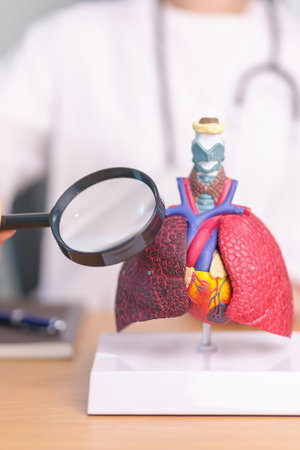Doctor with Smoker Lung anatomy with magnifying glass. Lung Cancer, Asthma, Chronic Obstructive Pulmonary or COPD, Bronchitis, Emphysema, Cystic Fibrosis, Bronchiectasis, Pneumonia and world Lung dayの写真素材