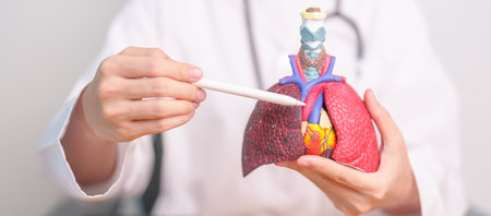 Doctor point heart Cardiovascular and Respiratory anatomy for Disease. Lung Cancer, Asthma, Chronic...