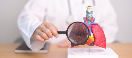 Doctor with Smoker Lung anatomy with magnifying glass. Lung Cancer, Asthma, Chronic Obstructive Pulmonary or COPD, Bronchitis, Emphysema, Cystic Fibrosis, Bronchiectasis, Pneumonia and world Lung dayの写真素材