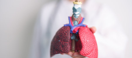 Doctor with Smoker and normal Lung anatomy for Disease. Lung Cancer, Asthma, Chronic Obstructive Pulmonary or COPD, Bronchitis, Emphysema, Cystic Fibrosis, Bronchiectasis, Pneumonia and world Lung dayの写真素材