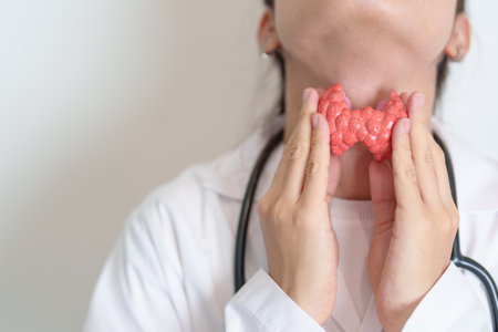 Doctor with human Thyroid anatomy model. Hyperthyroidism, Hypothyroidism, Hashimoto Thyroiditis, Thyroid Tumor and Cancer, Postpartum, Papillary Carcinoma and Health conceptの写真素材