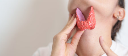 Woman holding human Thyroid anatomy model with her Neck. Hyperthyroidism, Hypothyroidism, Hashimoto Thyroiditis, Thyroid Tumor and Cancer, Postpartum, Papillary Carcinoma and Health conceptの写真素材