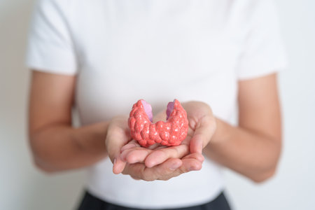 Woman holding human Thyroid anatomy model. Hyperthyroidism, Hypothyroidism, Hashimoto Thyroiditis, Thyroid Tumor and Cancer, Postpartum, Papillary Carcinoma and Health conceptの写真素材