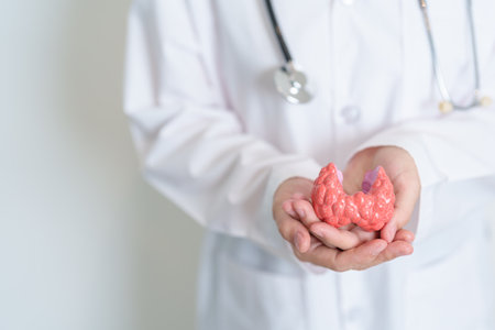 Doctor with human Thyroid anatomy model. Hyperthyroidism, Hypothyroidism, Hashimoto Thyroiditis, Thyroid Tumor and Cancer, Postpartum, Papillary Carcinoma and Health conceptの写真素材