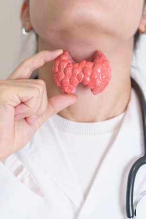 Doctor with human Thyroid anatomy model. Hyperthyroidism, Hypothyroidism, Hashimoto Thyroiditis, Thyroid Tumor and Cancer, Postpartum, Papillary Carcinoma and Health conceptの写真素材
