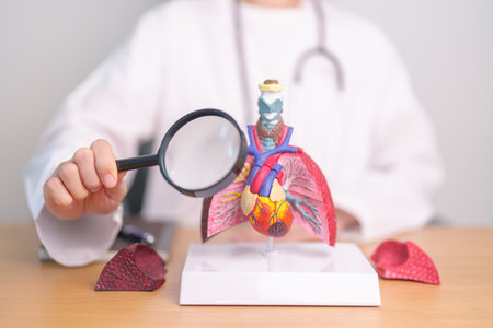 Doctor with Smoker Lung anatomy with magnifying glass. Lung Cancer, Asthma, Chronic Obstructive Pulmonary or COPD, Bronchitis, Emphysema, Cystic Fibrosis, Bronchiectasis, Pneumonia and world Lung dayの写真素材