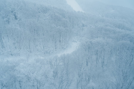 View of Snow monster in Winter day at Mount Zao ski resort, Yamagata prefecture, Japan. powder snow...