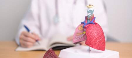 Doctor with Smoker and normal Lung anatomy for Disease. Lung Cancer, Asthma, Chronic Obstructive Pulmonary or COPD, Bronchitis, Emphysema, Cystic Fibrosis, Bronchiectasis, Pneumonia and world Lung dayの写真素材