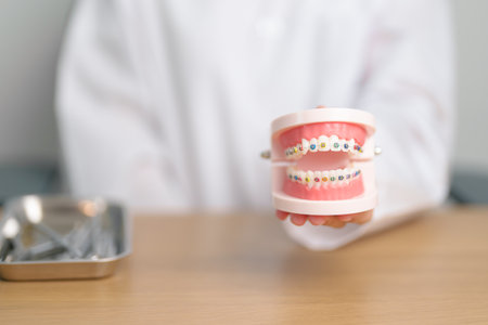 Dentist with Orthodontic tooth model and bracket or brace. Clean and Scrape off tartar. May Orthodontic Health Day, March Oral health, Dentist Day, False Teeth. Toothache and Children Dental Healthの写真素材
