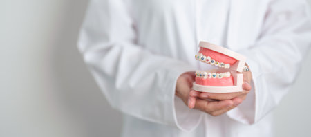 Dentist with Orthodontic tooth model and bracket or brace. Clean and Scrape off tartar. May Orthodontic Health Day, March Oral health, Dentist Day, False Teeth. Toothache and Children Dental Healthの写真素材
