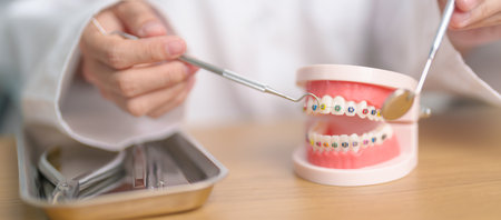 Dentist with Orthodontic tooth model and bracket or brace. Clean and Scrape off tartar. May Orthodontic Health Day, March Oral health, Dentist Day, False Teeth. Toothache and Children Dental Healthの写真素材