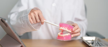 Dentist with tooth Anatomy model. Oral Teeth and disease, Scrape off tartar. March Oral health, Dentist Day, False Teeth. Toothache and Children Dental Health Month and Orthodontic Health Dayの写真素材