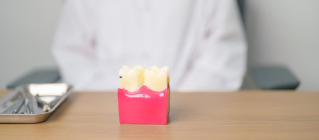 Dentist with tooth Anatomy model. Oral Teeth decay and disease, Scrape off tartar. March Oral...