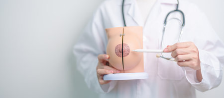 Doctor holding Breast Anatomy model. Breast Augmentation Surgery, October Breast Cancer Awareness month, implant, Diagnosis, Beauty woman enlargement and medical education conceptの写真素材