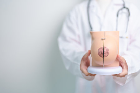 Doctor holding Breast Anatomy model. Breast Augmentation Surgery, October Breast Cancer Awareness month, implant, Diagnosis, Beauty woman enlargement and medical education conceptの写真素材