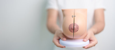 woman holding Breast Anatomy model. Breast Augmentation Surgery, October Breast Cancer Awareness month, implant, Diagnosis, Beauty woman enlargement and medical education conceptの写真素材