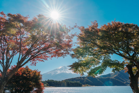 Mount Fuji view at Momiji Tunnel in Autumn season. Mt Fujisan in lake Kawaguchi, Yamanashi, Japan. Landmark for tourists attraction. Japan Travel, Destination, Vacation and Mount Fuji Day conceptの写真素材