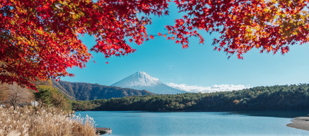 Mount Fuji view at Lake Saiko in Autumn season. Mt Fujisan in Fujikawaguchiko, Yamanashi, Japan. Landmark for tourists attraction. Japan Travel, Destination, Vacation and Mount Fuji Day conceptの写真素材