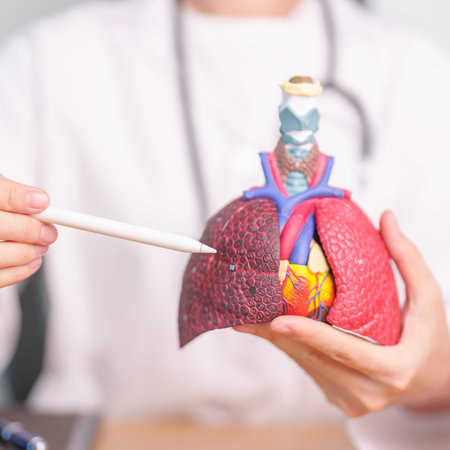 Doctor point Smoker Lung anatomy for Disease. Lung Cancer, Asthma, Chronic Obstructive Pulmonary or...
