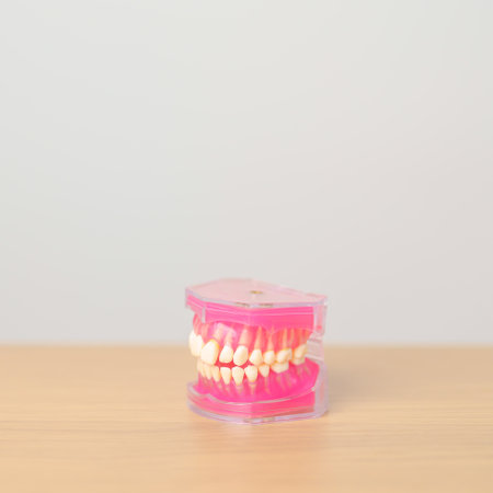 tooth Anatomy model. Oral Teeth and disease, Scrape off tartar. March Oral health, Dentist Day,...