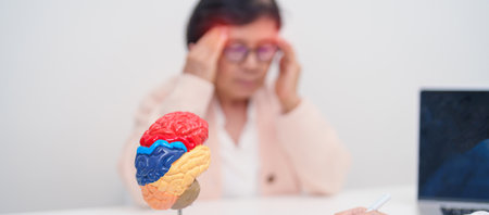 Elderly Patient consulting Doctor to Brain disease, Senior Health Medical Diagnosis. Anatomy Brain...