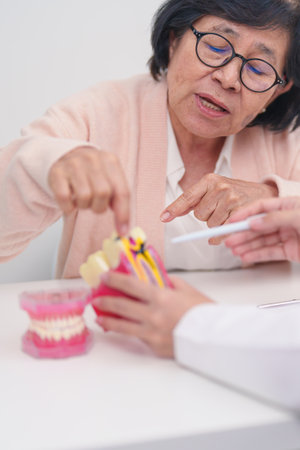 Elderly Patient consulting Dentist to Tooth disease, Senior Health Medical Diagnosis. Anatomy teeth model for Oral Teeth decay, Scrape off tartar. March Oral health, Dentist Day, False Teeth conceptの写真素材
