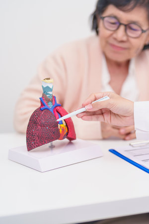 Doctor with Respiratory system. Elderly Patient consultation medical health for Lung Cancer, Asthma, Chronic Obstructive Pulmonary, Bronchitis, Emphysema, Cystic Fibrosis, Bronchiectasis, Pneumoniaの写真素材