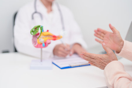 Elderly Patient consultation with doctor for Pancreas, Gallbladder, Bile Duct, Duodenum, Small intestine. Pancreatic cancer, Acute and Chronic pancreatitis, Digestive system and medical healthcareの写真素材