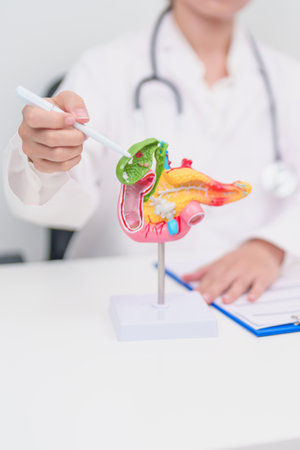 Elderly Patient consultation with doctor for Pancreas, Gallbladder, Bile Duct, Duodenum, Small intestine. Pancreatic cancer, Acute and Chronic pancreatitis, Digestive system and medical healthcareの写真素材