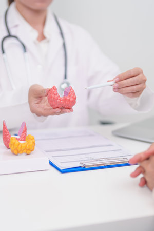 Elderly Patient consulting and Diagnosis with Doctor to Thyroid disease. Anatomy Thyroid model for Hyperthyroidism, Hypothyroidism, Hashimoto Thyroiditis, Thyroid Tumor and Cancer, Papillary Carcinomaの写真素材