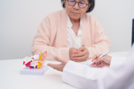 Elderly Patient consulting Doctor to Ear disease. Senior Health Medical Diagnosis. Anatomy Ear model for Atresia, Otitis Media, Pertorated Eardrum, Meniere syndrome, otolaryngologist, Hearing Lossの写真素材