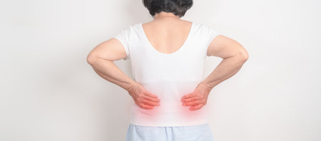 Elderly woman having side and Back Waist pain for Kidney disease, Urinary system and Stones, world Kidney and Cancer day, Chronic kidney, Organ Donor Day and Health care conceptの写真素材