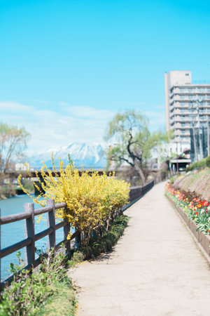 Beautiful Iwate mountain and Kitakami river with flowers blooming in Spring season, cityscape...