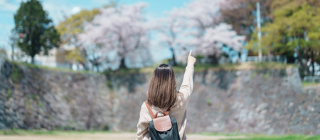 Woman tourist sightseeing Sakura Cherry blossom at Morioka Castle Ruins park in Spring, happy traveler travel in Iwate Park, Iwate prefecture, Japan. famous Landmark Travel and Vacation destinationの写真素材