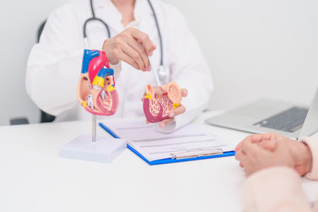 Doctor with Heart anatomy model. Elderly Patient consultation medical health for Cardiovascular...
