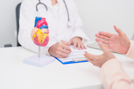 Doctor with Heart anatomy model. Elderly Patient consultation medical health for Cardiovascular Diseases, Atherosclerosis, Hypertensive, Heart attack, heart failure and world Heart day conceptの写真素材
